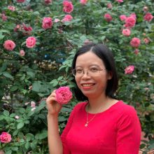 Mai Thị Hường